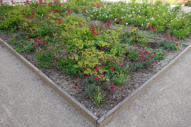 Rajský dvůr - část V. symbolické rostliny baroka.